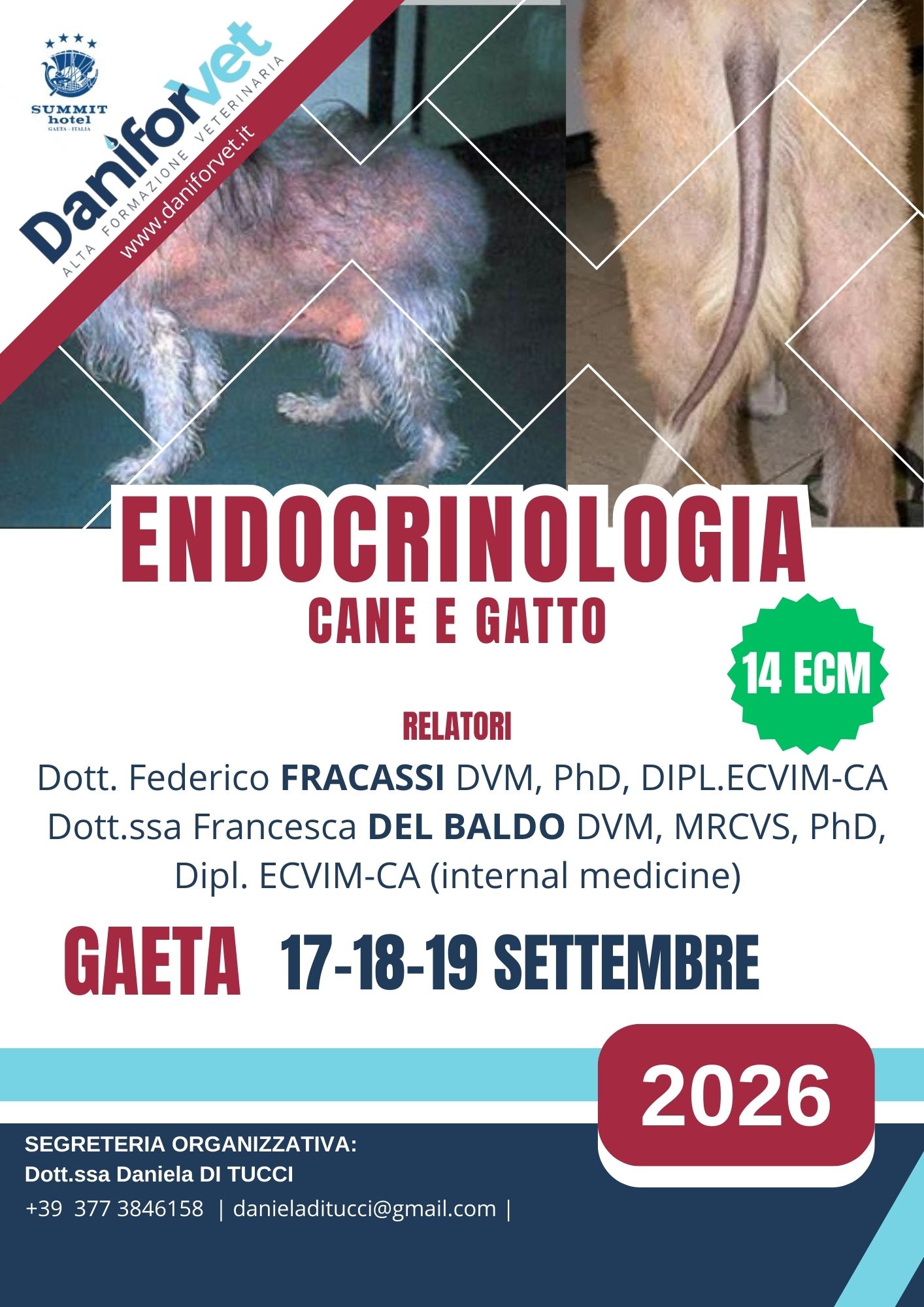 ENDOCRINOLOGIA CANE E GATTO