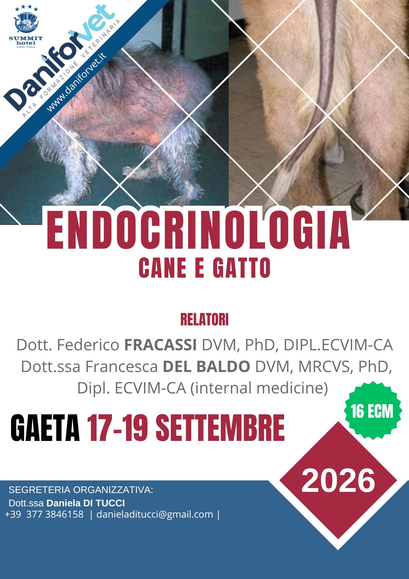 ENDOCRINOLOGIA CANE E GATTO