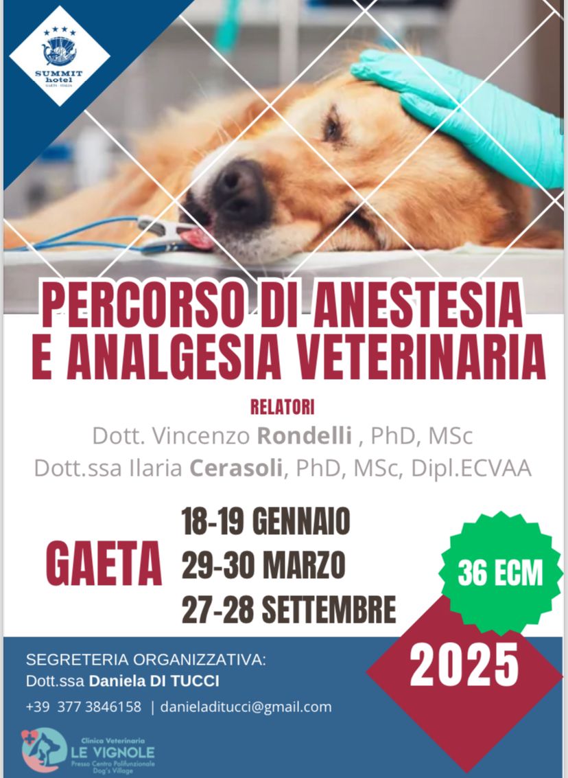 Foto di cane addormentato da pillole