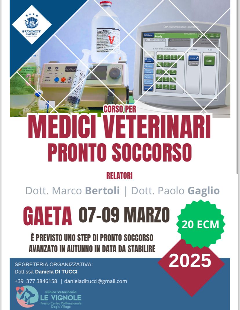 Foto di due veterinari che visitano un cane