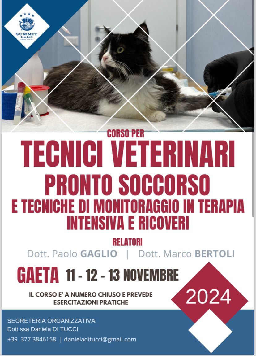 Foto che raffigura un cane, che viene visitato da 2 veterinari