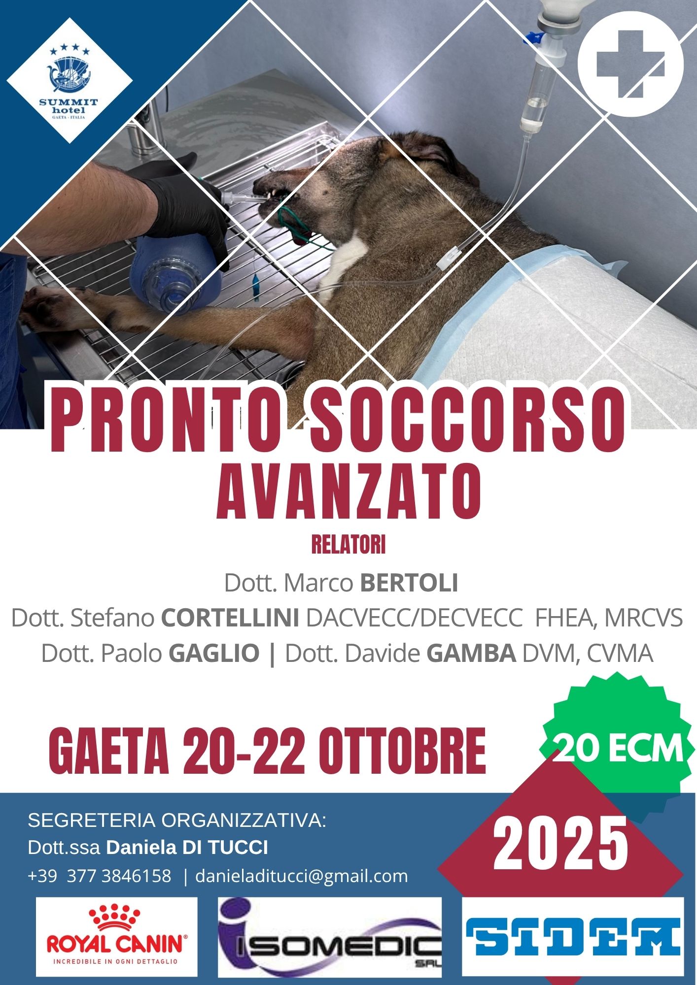 pronto soccorso medici veterinari